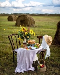 Pittura diamantata Colazione nei campi 30 × 40 cm