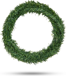 Ghirlanda natalizia verde 2,5 m