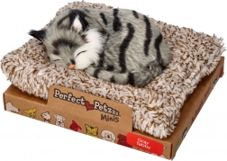 Perfect Petzzz piccolo gattino tigrato grigio