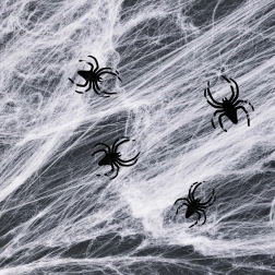 Ragnatela bianca di Halloween con ragni