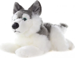 Husky di peluche 34 cm
