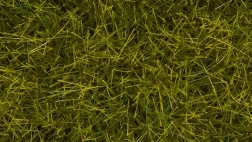 Noch erba statica prato selvatico 12 mm