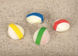 Conchiglia Magica Goki