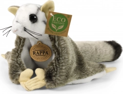 Petaurio dello zucchero di peluche