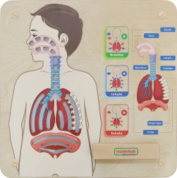 Lavagna didattica in legno Respirazione di Masterkidz