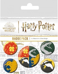 Set di spille Harry Potter – Case