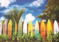 Puzzle Paradise del surfista 1000 pezzi EUROGRAPHICS