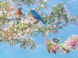 Puzzle Festival dei Fiori XL 275 pezzi di Cobble Hill