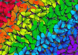 Puzzle farfalle arcobaleno 1000 pezzi