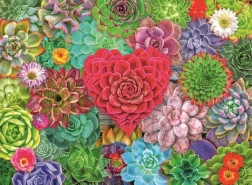 Puzzle Paradiso Succulento 500 pezzi