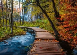 Puzzle RAVENSBURGER Bosco misterioso 1000 pezzi