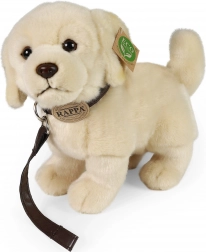 Cane di peluche Golden Retriever con guinzaglio 25 cm