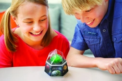 Cristalli verdi 4M – kit educativo per coltivare cristalli