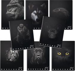 Quaderno scolastico A4 Monocromo nero