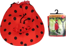 Costume Coccinella per Carnevale