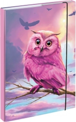 Cartelline per quaderni scolastici A4 con motivo gufo BAAGL