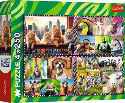 Puzzle 4×250 pezzi Allegri animaletti