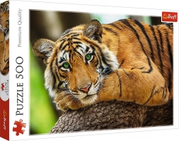 Puzzle Ritratto di tigre 500 pezzi
