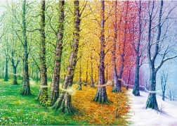 Puzzle Fibre della vita 1000 pezzi MAGNOLIA