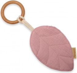 Massaggiagengive Nuova Baby Leaf rosa