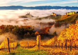 Enjoy puzzle Nella vigna 1000 pezzi