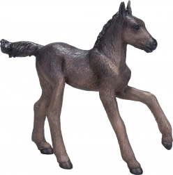 Mojo Puledro Arabo Nero