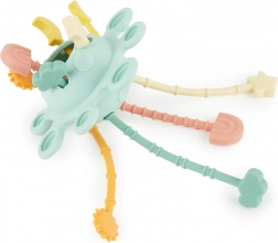 Gioco motorio in silicone con attività Eucalyptus