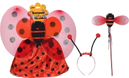 Costume di Carnevale Coccinella