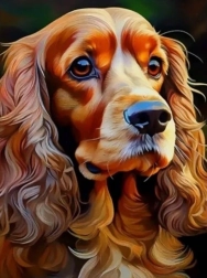Pittura diamantata cocker spaniel 30 × 40 cm
