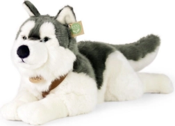 Cane Husky in Peluche 60 cm ECO FRIENDLY