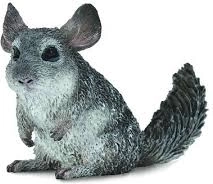 Chinchilla dalla coda lunga Collecta