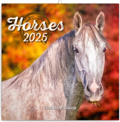 Calendario per appunti Cavalli 2025 di Christiane Slawik 30 × 30 cm