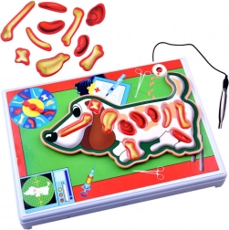 Gioco elettronico giovane veterinario – cagnolino