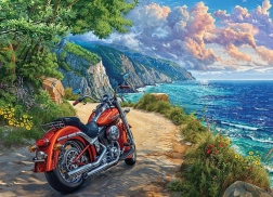 Puzzle Arrivo 500 pezzi di Cobble Hill