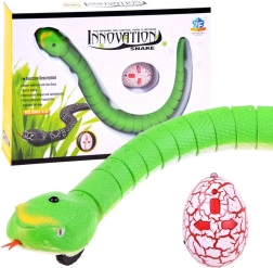 Serpente radiocomandato con controllo IR per bambini – Verde