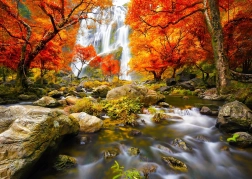 Puzzle Cascata autunnale 1000 pezzi ENJOY