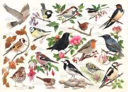 Puzzle Uccelli nel Giardino - 1000 Pezzi