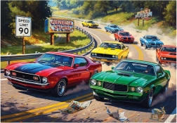 Puzzle Amante della velocità XL 260 pezzi