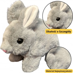 Giocattolo di peluche Coniglio Grigio 18 cm