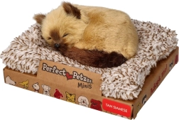Perfect Petzzz piccolo gattino siamese