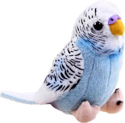 Mascotte pappagallo blu