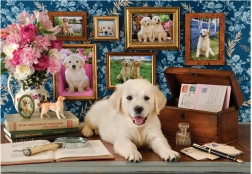 Puzzle Labrador 500 pezzi