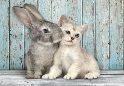 puzzle 500 pezzi compact gatto e coniglio