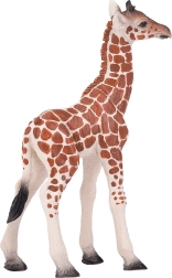 Figura realistica di giovane giraffa