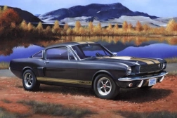Modello in plastica Shelby Mustang GT350H