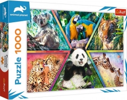Puzzle 1000 pezzi – regno degli animali ANIMAL PLANET