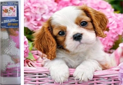 Pittura diamantata cucciolo nel cestino rosa 30 × 40 cm