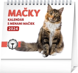 Calendario da tavolo Gatti 2024 con nomi dei gatti 16,5 × 13 cm