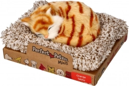 Perfetti Petzzz Piccolo gattino rosso tigrato