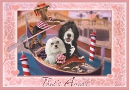 Puzzle Questo è amore 260 pezzi